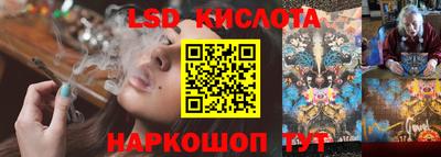 шишки Новодвинск