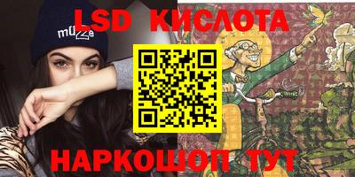 шишки Новодвинск