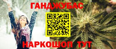 шишки Новодвинск