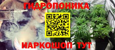 ешки Новокубанск