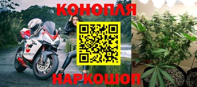 прущая мука Новозыбков