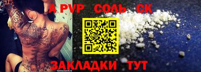 шишки Новодвинск