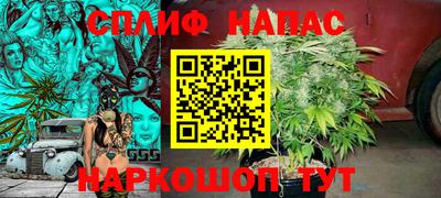 шишки Новодвинск